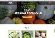 河南商城网站